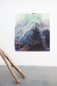 Michele Matyn - Noesis Noeseos, Base-Alpha Gallery Antwerp